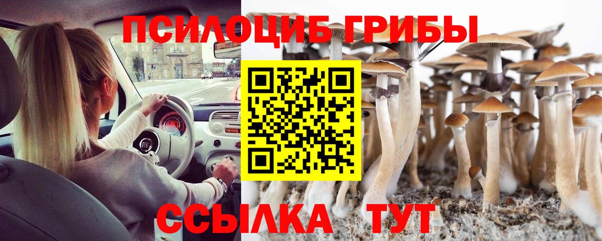 Галлюциногенные грибы прущие грибы Лесосибирск